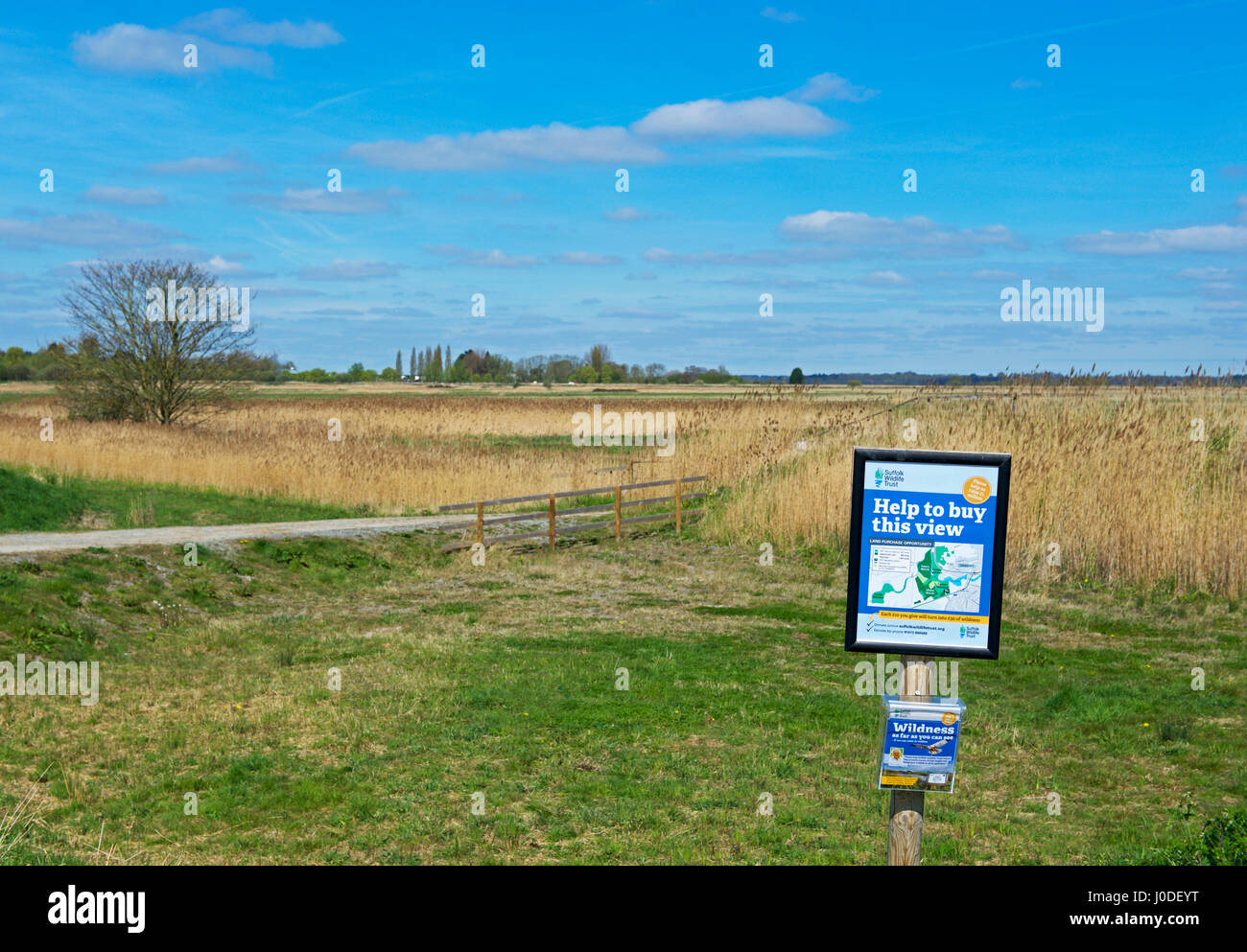 Carlton paludi, un Suffolk Wildllife fiducia riserva naturale vicino a Oulton Broad, Suffolk, Inghilterra, Regno Unito Foto Stock