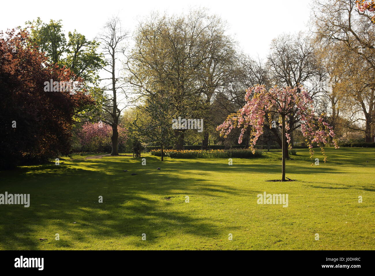 Regents Park in HDR Foto Stock