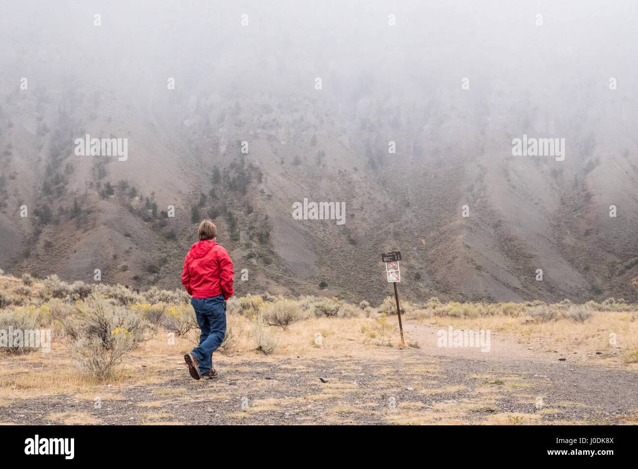 L uomo si avvicina la Lava Creek Trail segno nel Parco Nazionale di Yellowstone, Wyoming USA Foto Stock