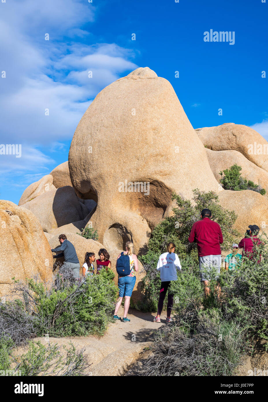 Le persone accanto al cranio Rock. Joshua Tree National Park, California, Stati Uniti d'America. Foto Stock