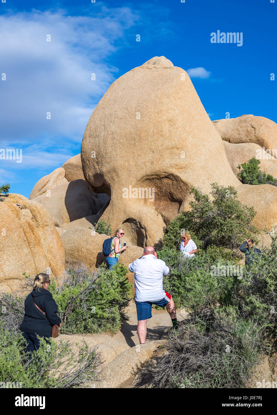 Le persone accanto al cranio Rock. Joshua Tree National Park, California, Stati Uniti d'America. Foto Stock