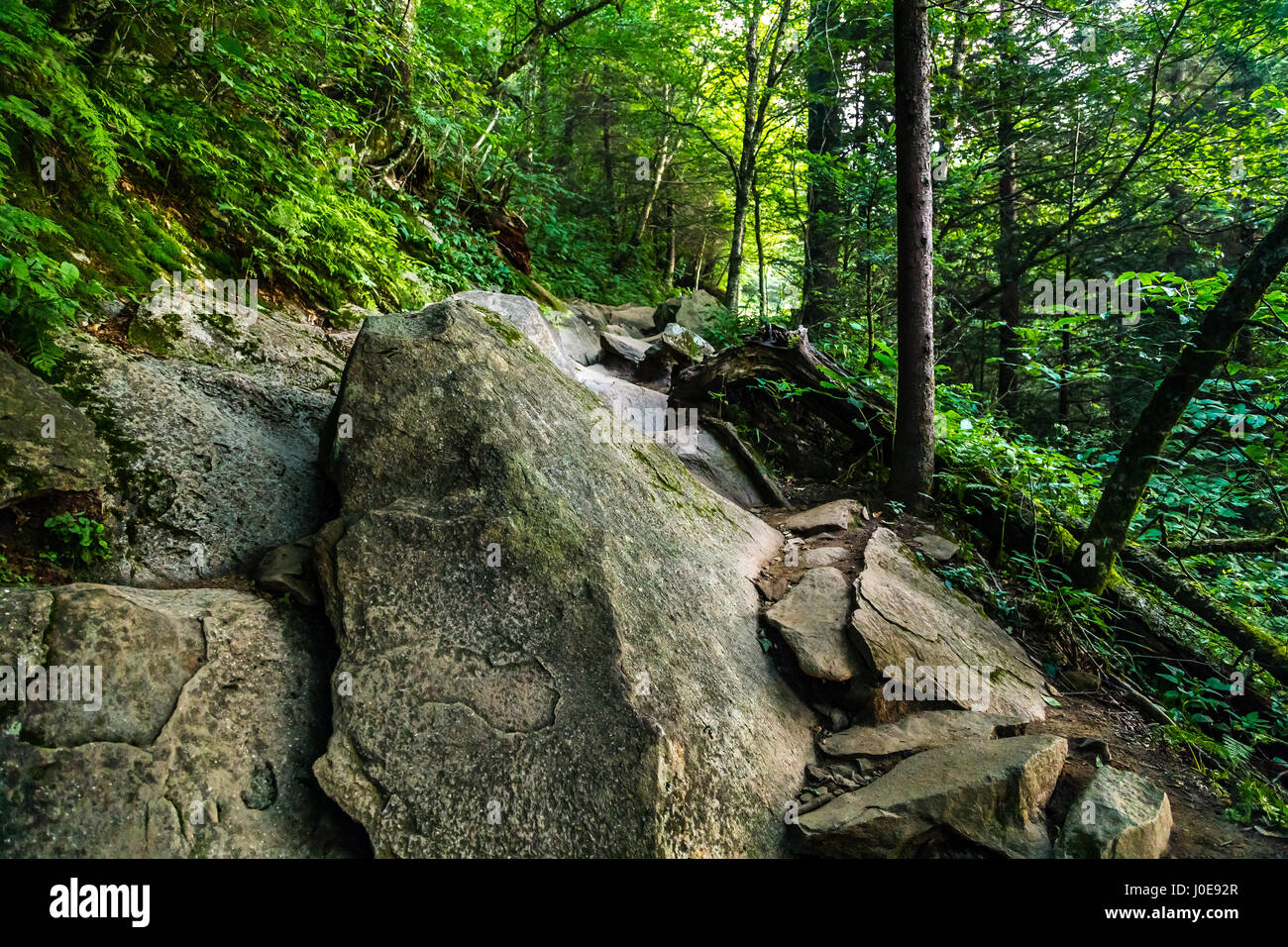 L'Appalachian Trail come attraversa lo Smoky Mountains in North Carolina e Tennessee. Foto Stock