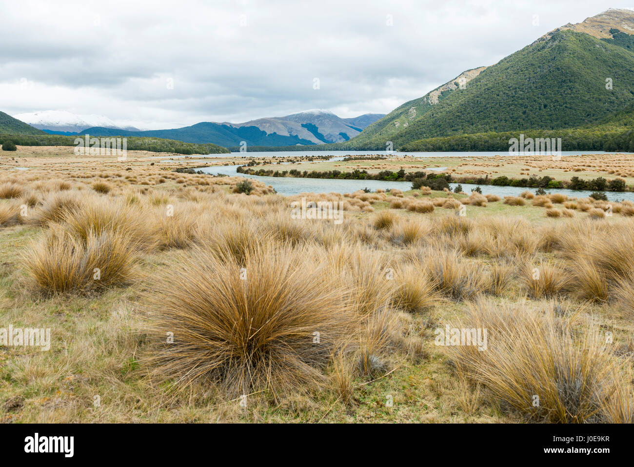 Erba paesaggio con fiume Oreti, Mavora, Regione del Southland, Nuova Zelanda Foto Stock