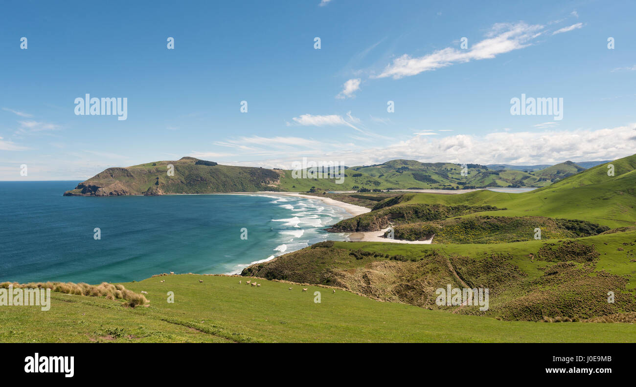 Spiaggia e della linea costiera, Allans Beach, Cape Saunders, Penisola di Otago, Dunedin,, Otago Southland, Nuova Zelanda Foto Stock