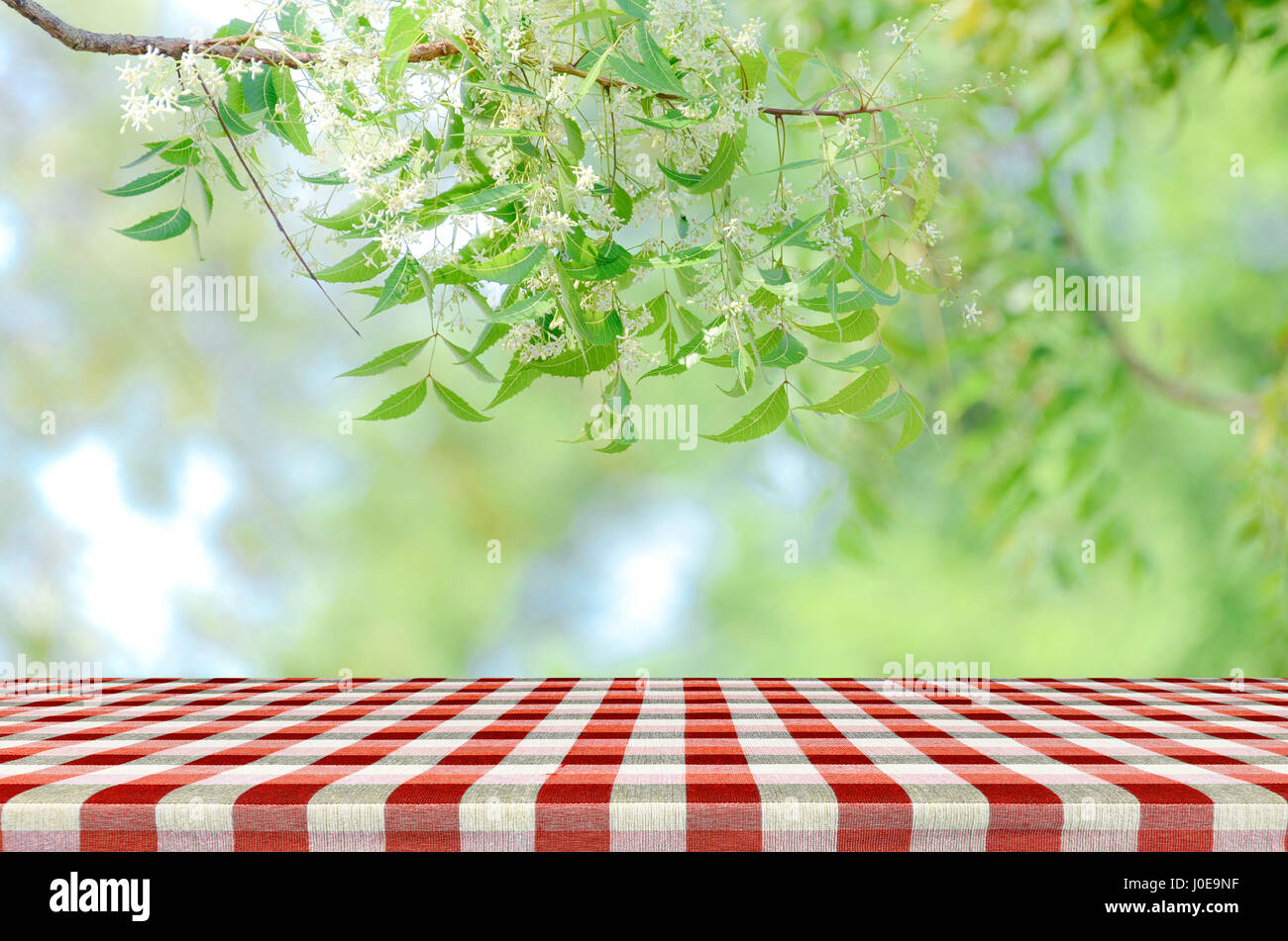 Red tavolo da picnic e natura sfondo con mattina calda tonalità di luce per la pubblicità e il display del prodotto. Foto Stock