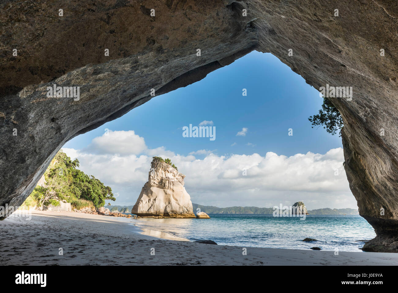 Vista dalla Cattedrale Grotta Grotta, Cove della cattedrale, Mercurio Bay, Penisola di Coromandel, Isola del nord, Nuova Zelanda Foto Stock
