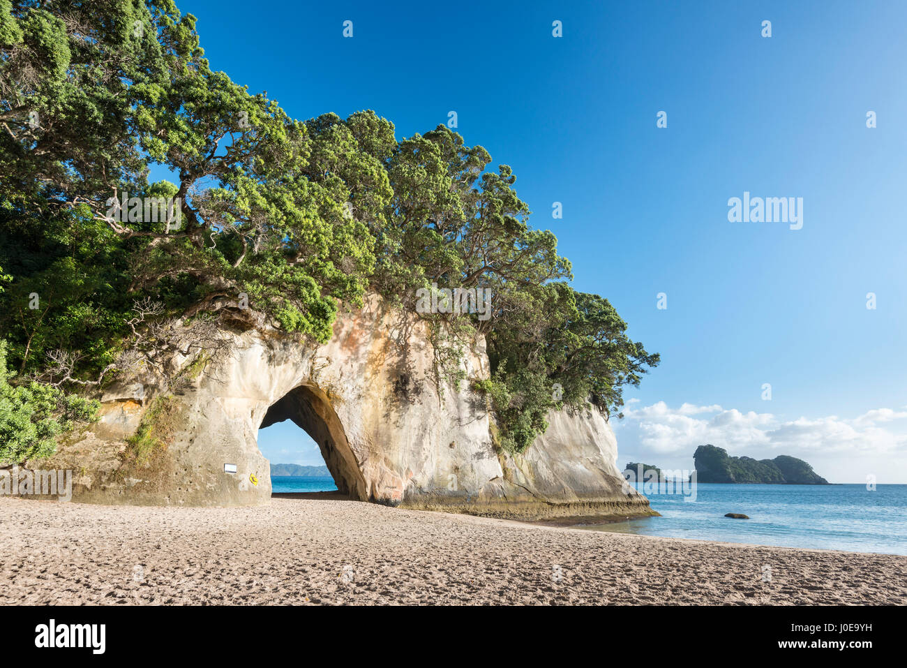 Bay Cove della cattedrale con Arco Naturale, Mercurio Bay, Penisola di Coromandel, Isola del nord, Nuova Zelanda Foto Stock