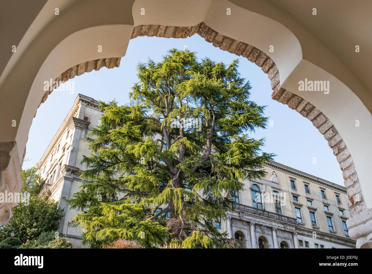 Vista attraverso un arco del Porticato Lippomano del Museo a Udine Foto Stock