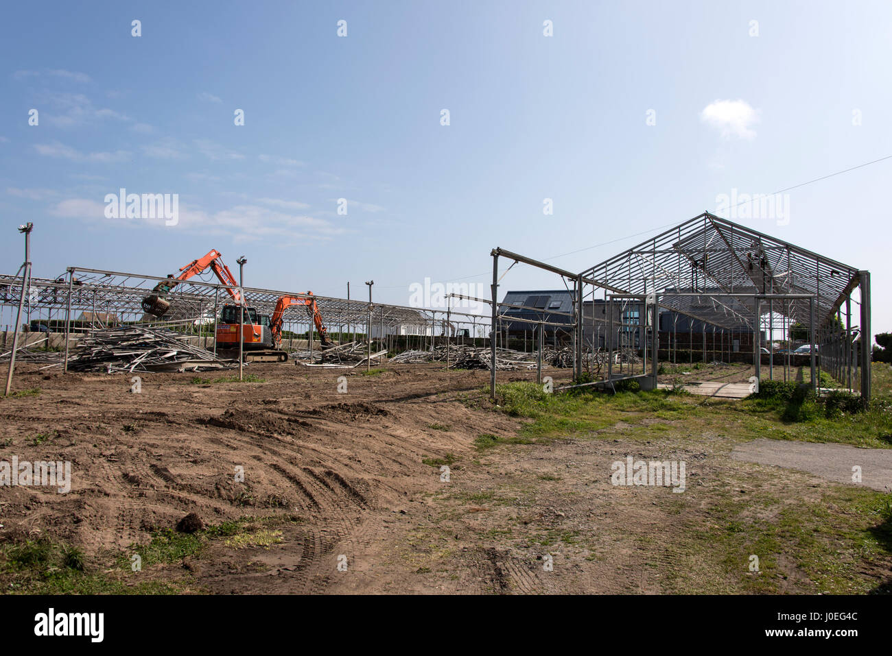 La scomparsa di Guernsey la coltivazione del pomodoro industria come un escavatore e gru demolito i resti di un pomodoro grande serra nel nord di Guernse Foto Stock