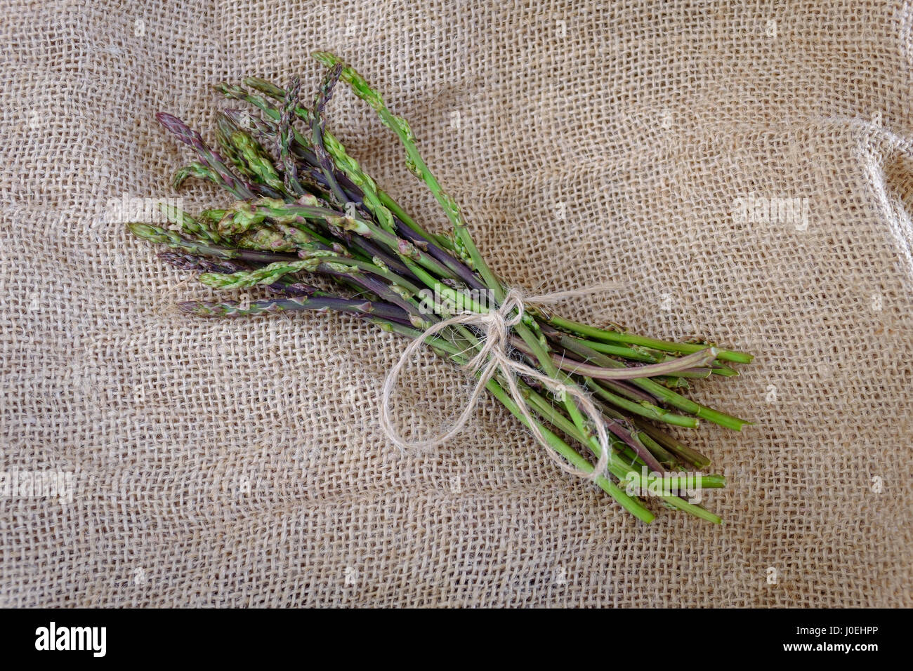 Mazzetto di materie di asparagi selvatici Foto Stock