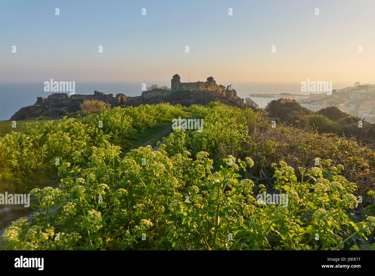 Vista suggestiva delle rovine del castello di Hastings sulla cima della scogliera, su Castle Hill, East Sussex, Inghilterra, Regno Unito, GB, in primavera Foto Stock