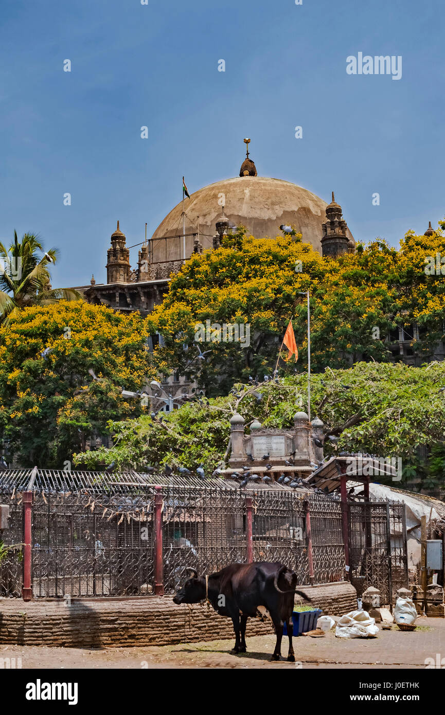 L'ufficio generale delle poste, Mumbai, Maharashtra, India, Asia Foto Stock