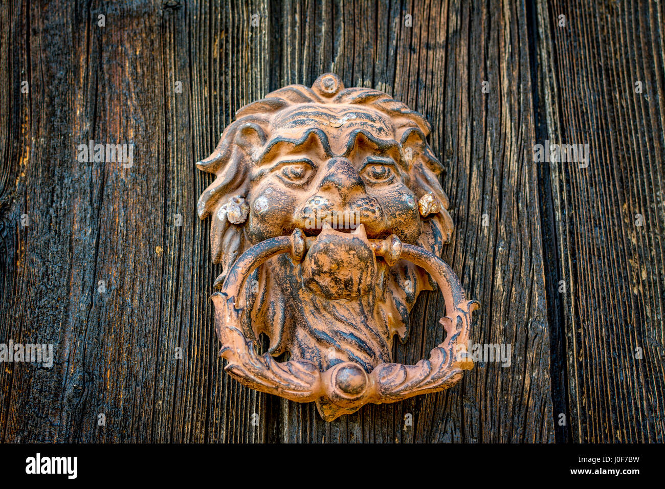 Testa di leone. Porta vecchia respingente Foto Stock