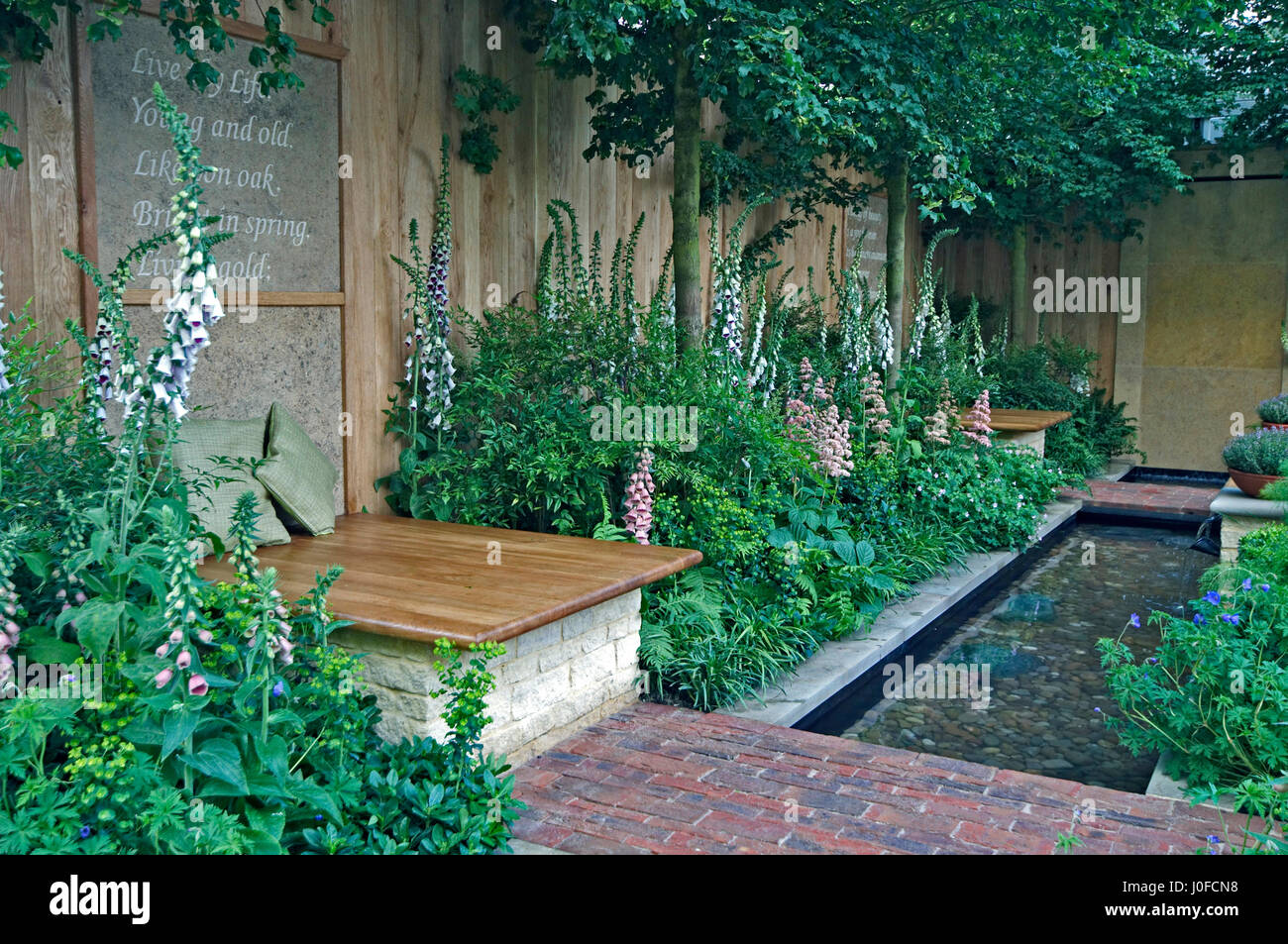 Un piccolo cortile urbano giardino con una funzione di acqua Foto Stock