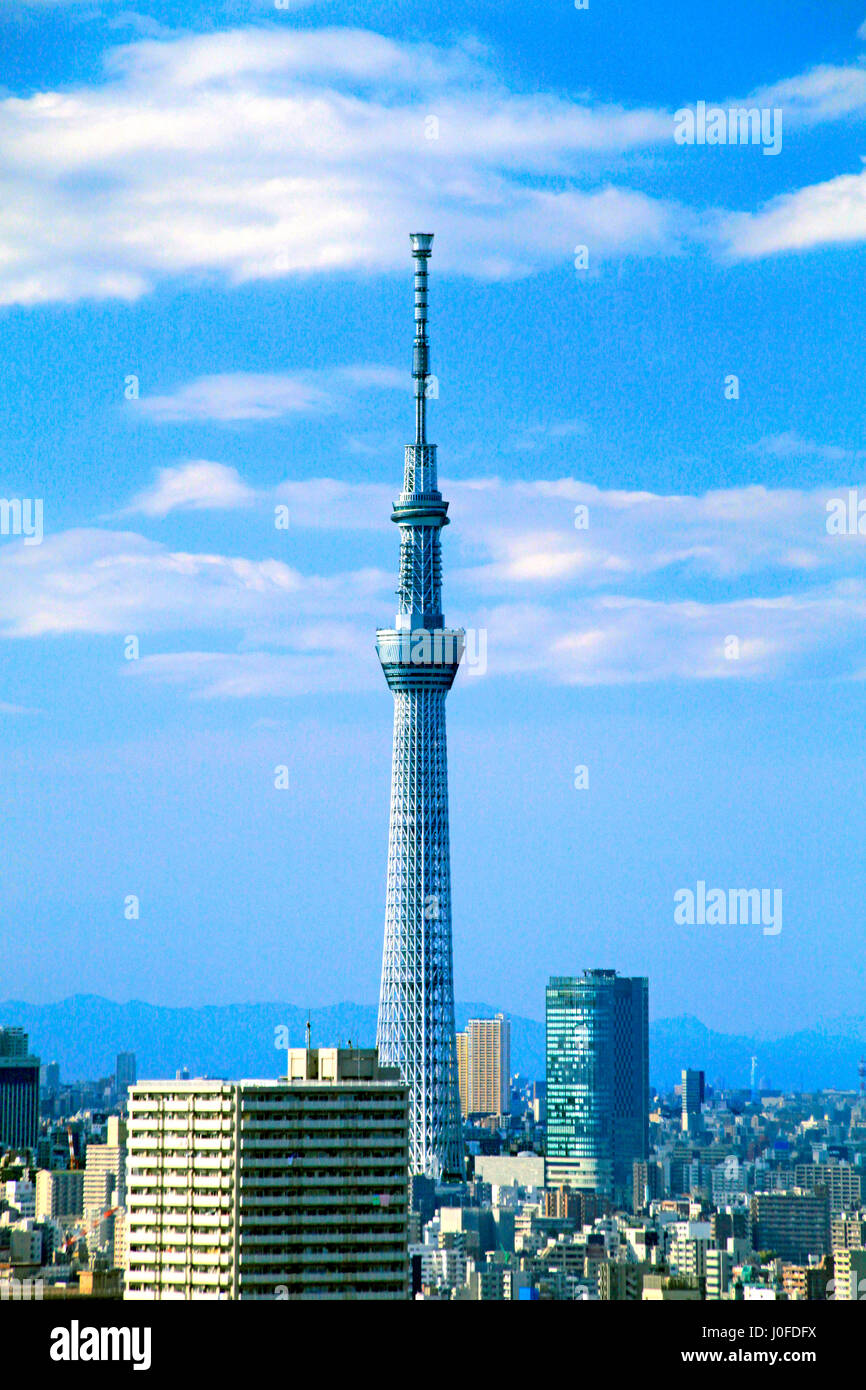 Tokyo Skytree Vista dalla Torre Funabori Edogawa Tokyo Giappone Foto Stock