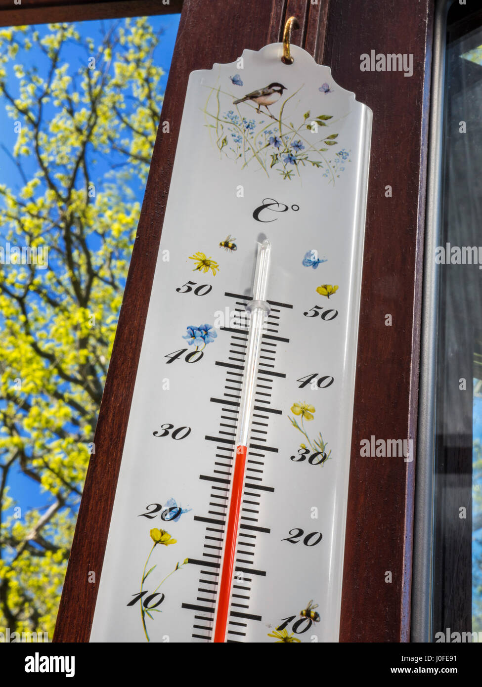 Giardino termometro a tema visualizza sunny 30 gradi centigradi appeso nella stanza del giardino, con albero di quercia in prima molla a foglia verde, blu sullo sfondo del cielo Foto Stock