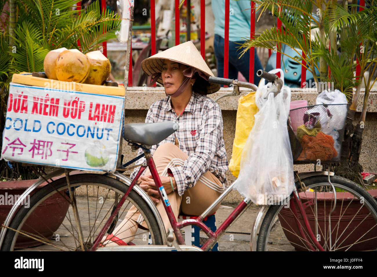 Posizione orizzontale Ritratto di signora di vendita tutta fredda noci di cocco dalla parte posteriore di una bicicletta in Hoi An, Vietnam. Foto Stock