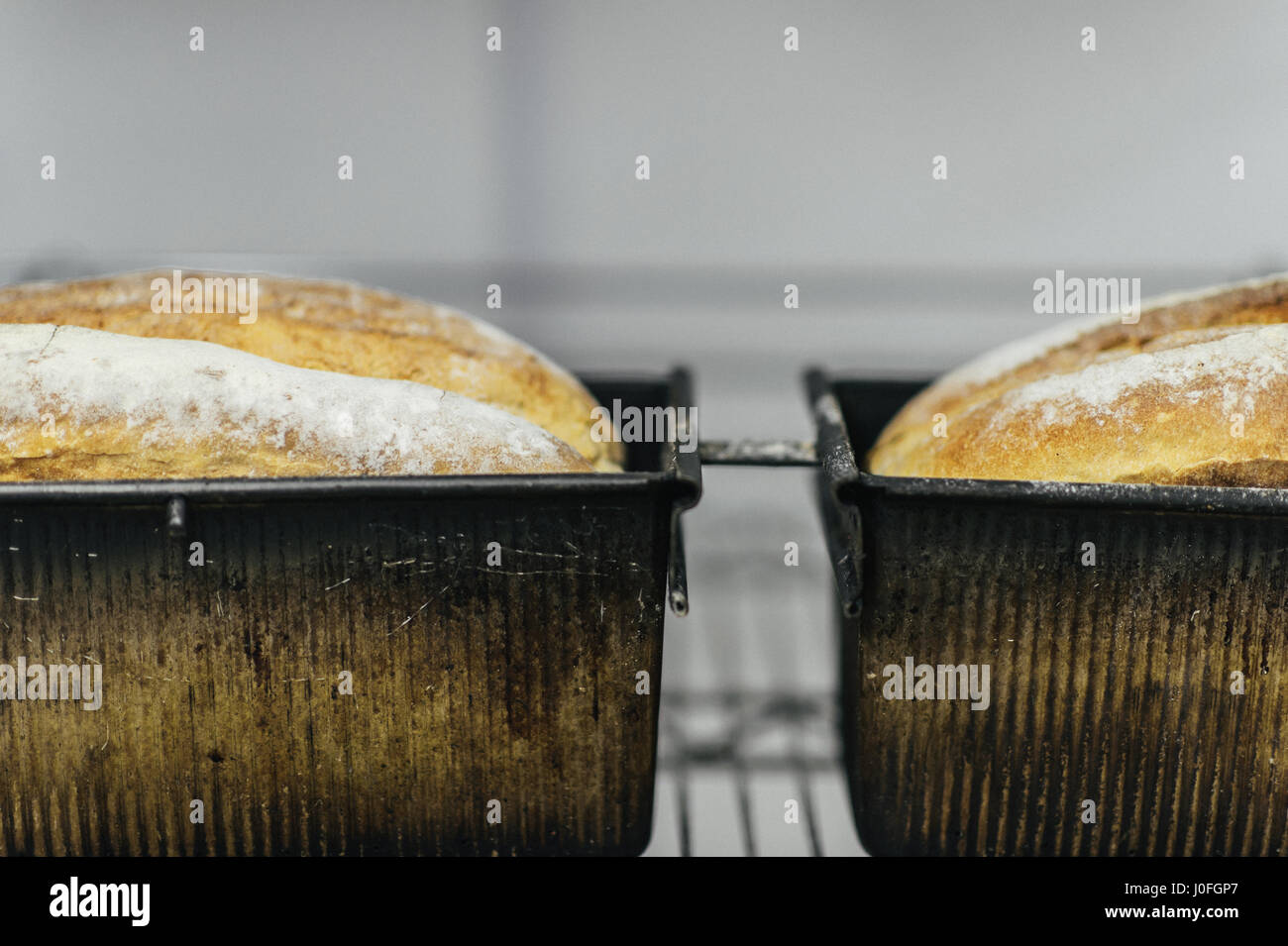 Due appena sfornato pagnotte di pane nel filone padelle Foto Stock