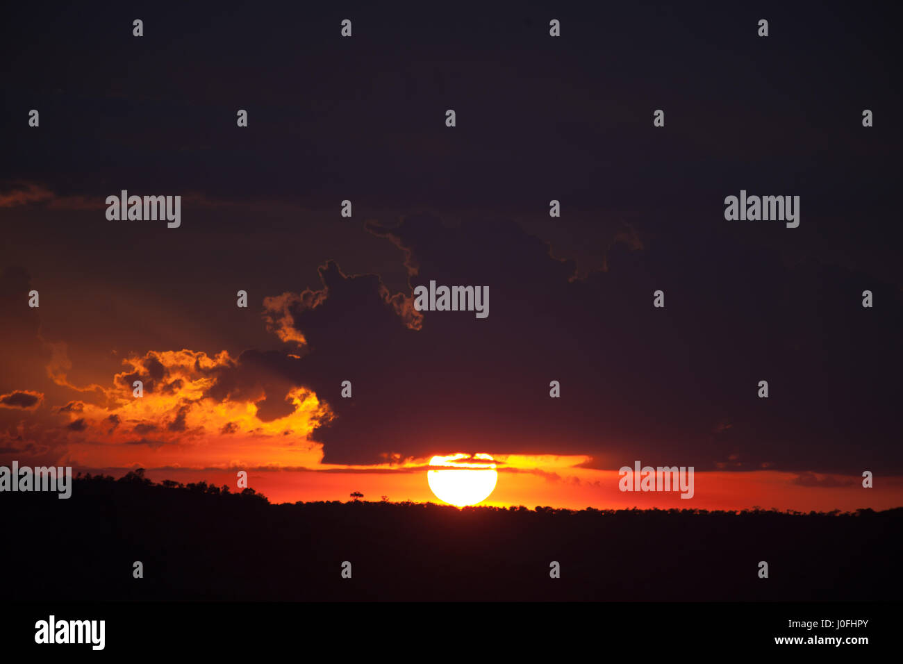 Masai Mara National Park in Kenya Foto Stock