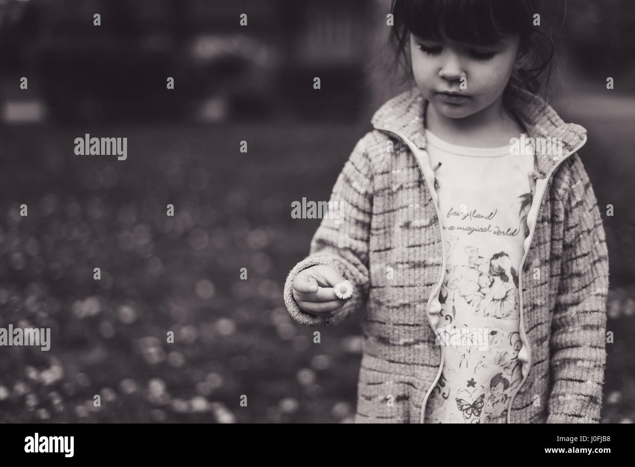 Piccola ragazza nel parco tenendo un fiore a margherita, in bianco e nero. Foto Stock