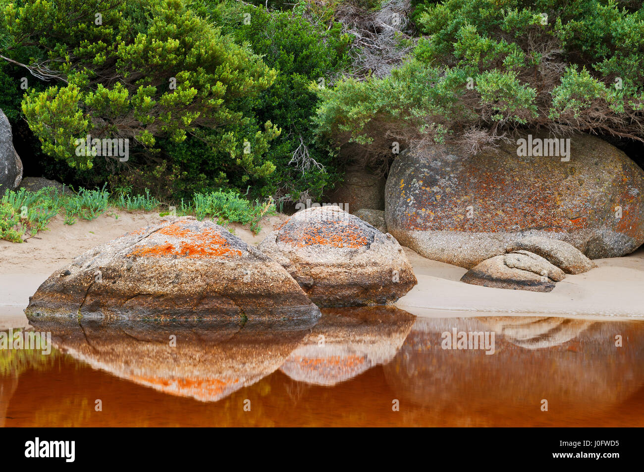 Il Lichen coperto rocce di fiume di marea in Wilsons Promontory National Park. Foto Stock