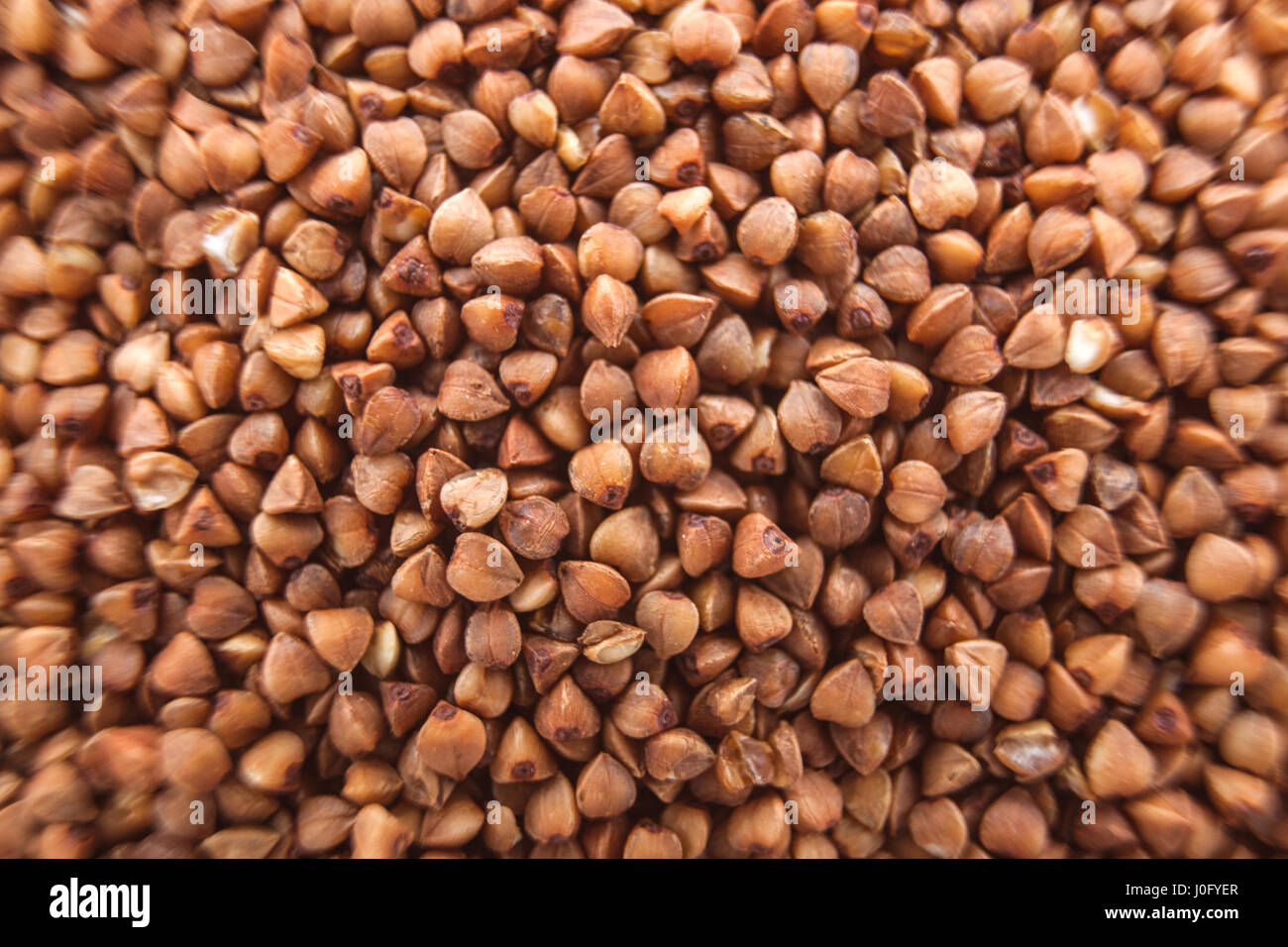 Grano saraceno - cereali da semina di grano saraceno e porridge anche da questo semole. Il genere delle piante della famiglia dei cereali. Foto Stock