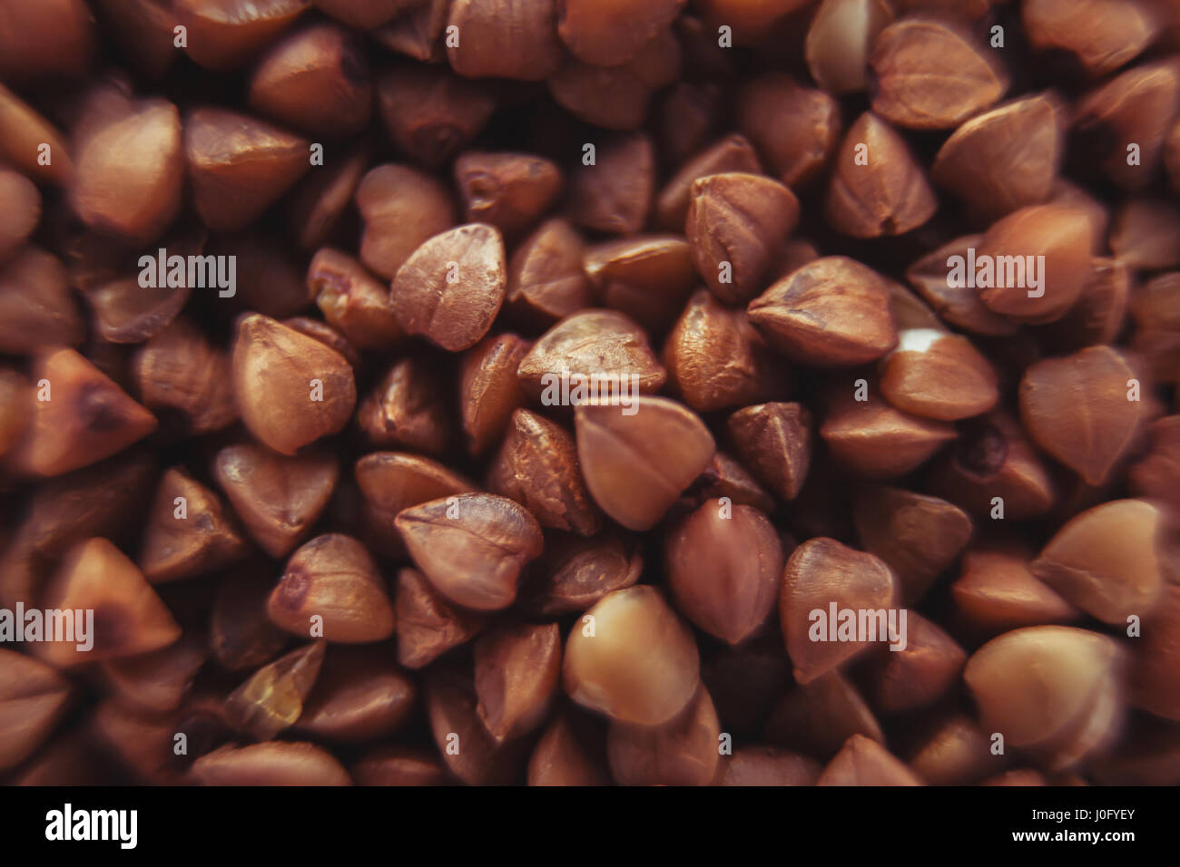 Grano saraceno - cereali da semina di grano saraceno e porridge anche da questo semole. Il genere delle piante della famiglia dei cereali. Foto Stock