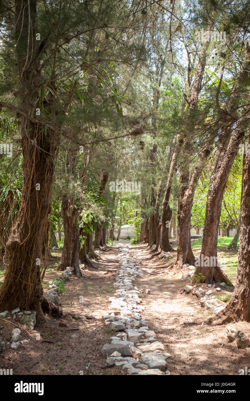 Hemingway House, Havana, Cuba Foto Stock