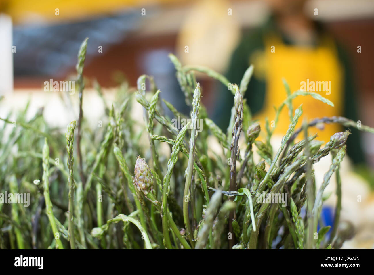 Asparagi verdi selvatici teste a punta mazzetto in stallo del mercato, le persone al di fuori della messa a fuoco in background Foto Stock