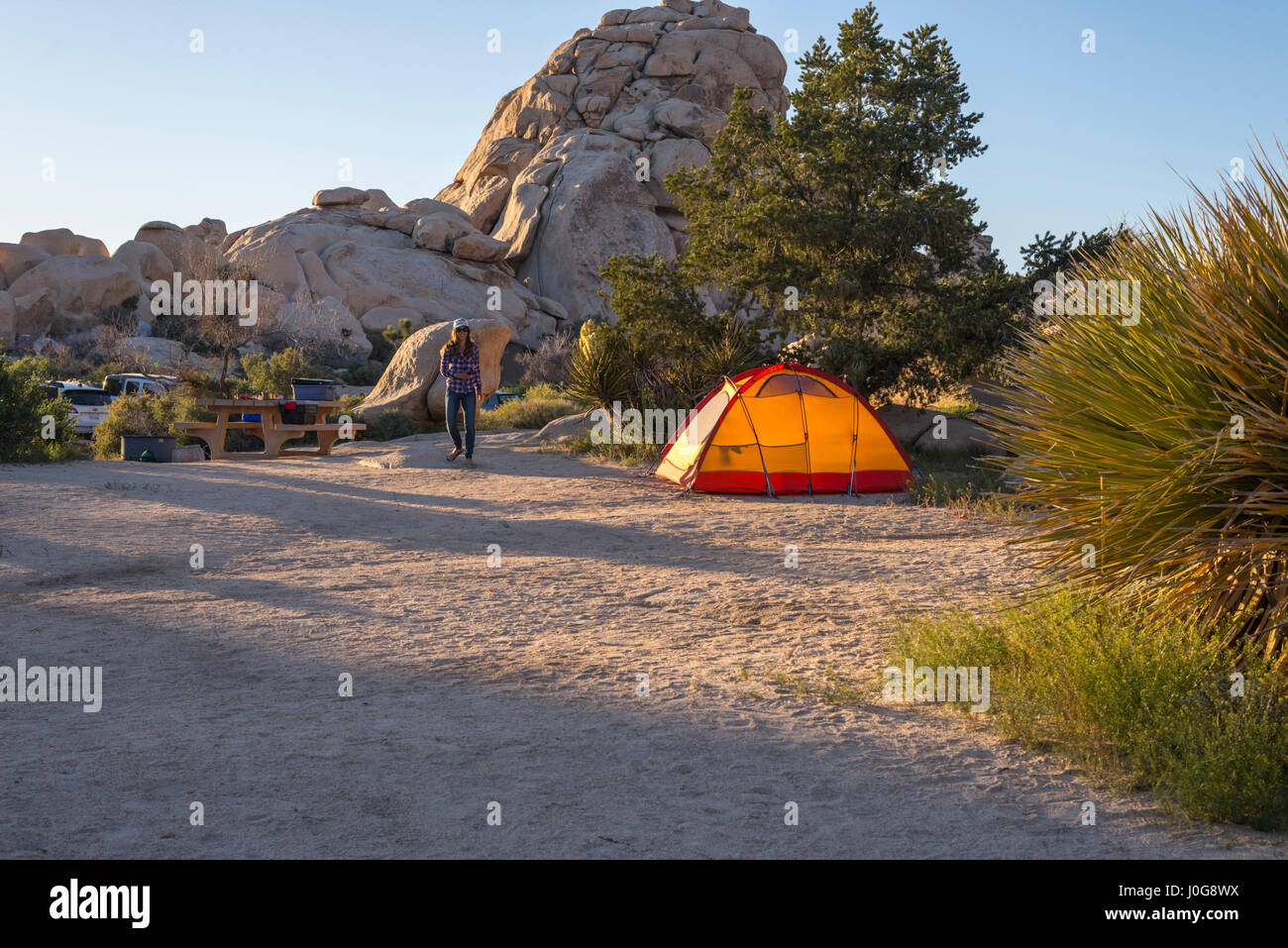 Camping tenda al campeggio area. Joshua Tree National Park, California,  Stati Uniti d'America Foto stock - Alamy