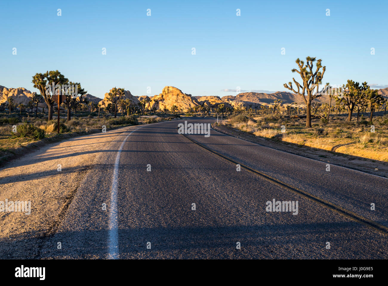 Strada che corre attraverso il parco nazionale di Joshua Tree, California, Stati Uniti d'America. Foto Stock
