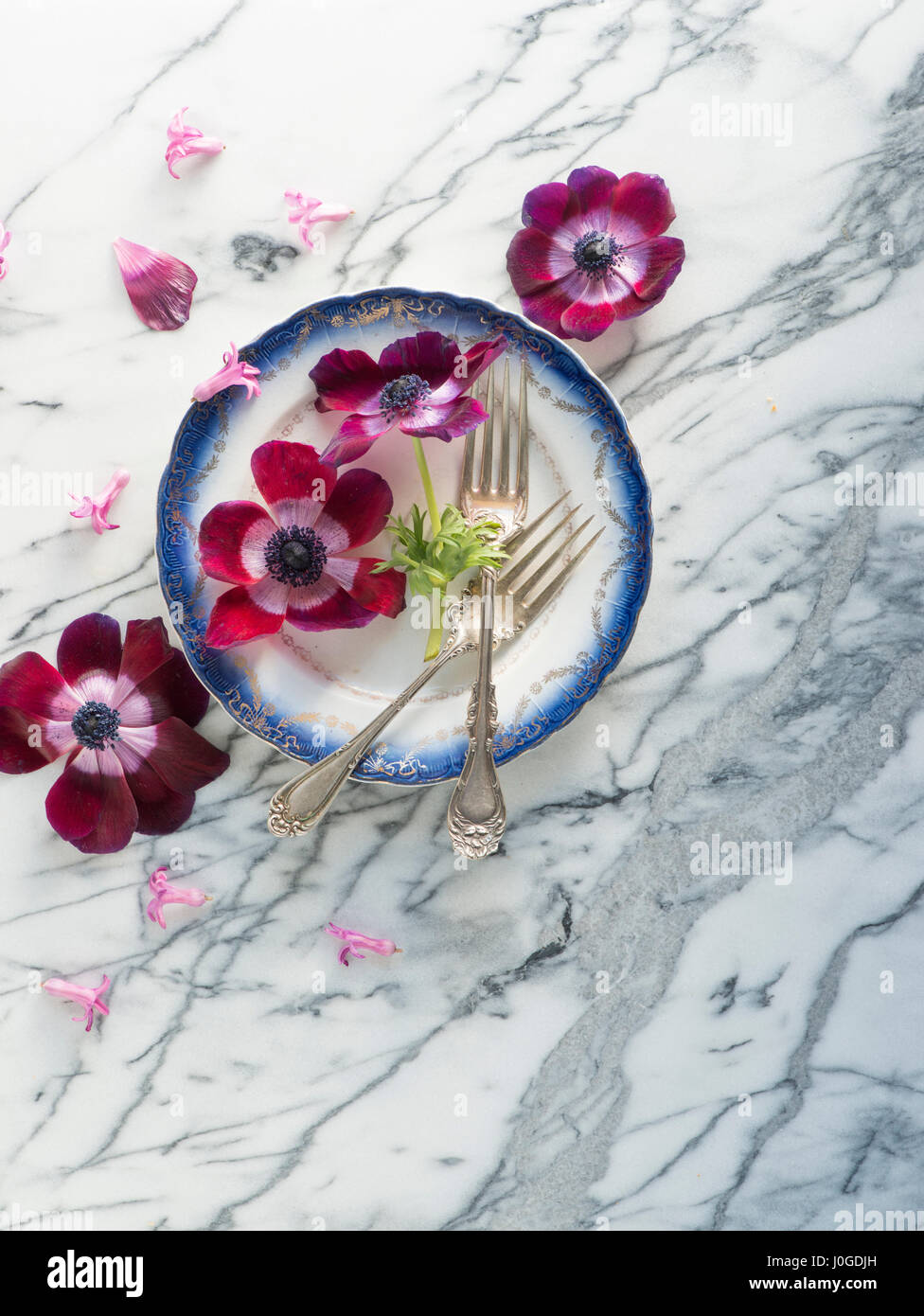 Natura morta di fiori di anemone su marmo Foto Stock