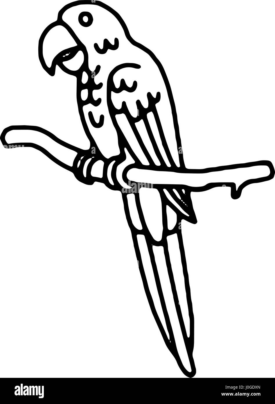 Pappagalli macaw, illustrazione vettoriale Illustrazione Vettoriale