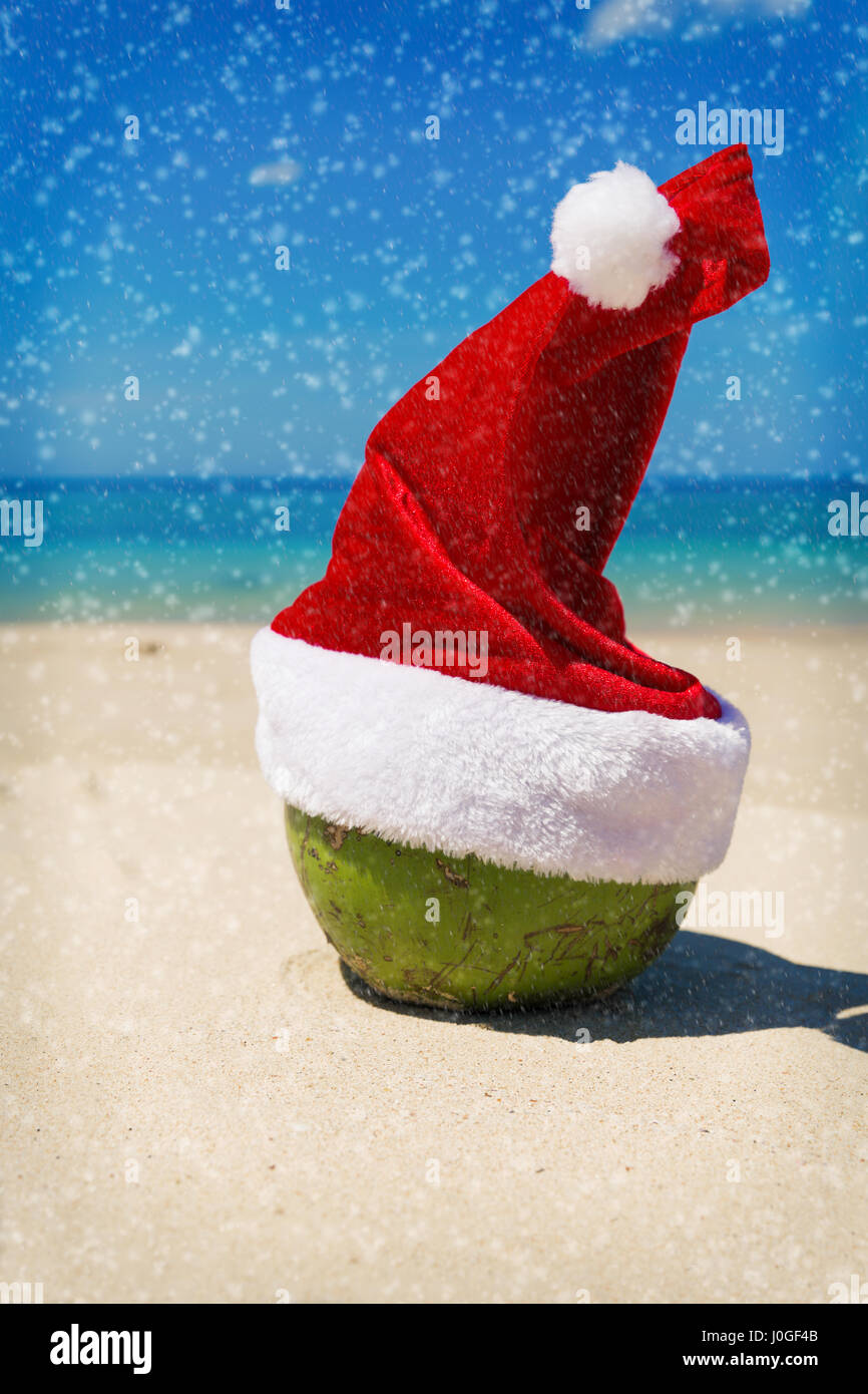 Noce di cocco in una Santa Natale hat in sabbia su una spiaggia tropicale - Vacanze estive tropic concept Foto Stock