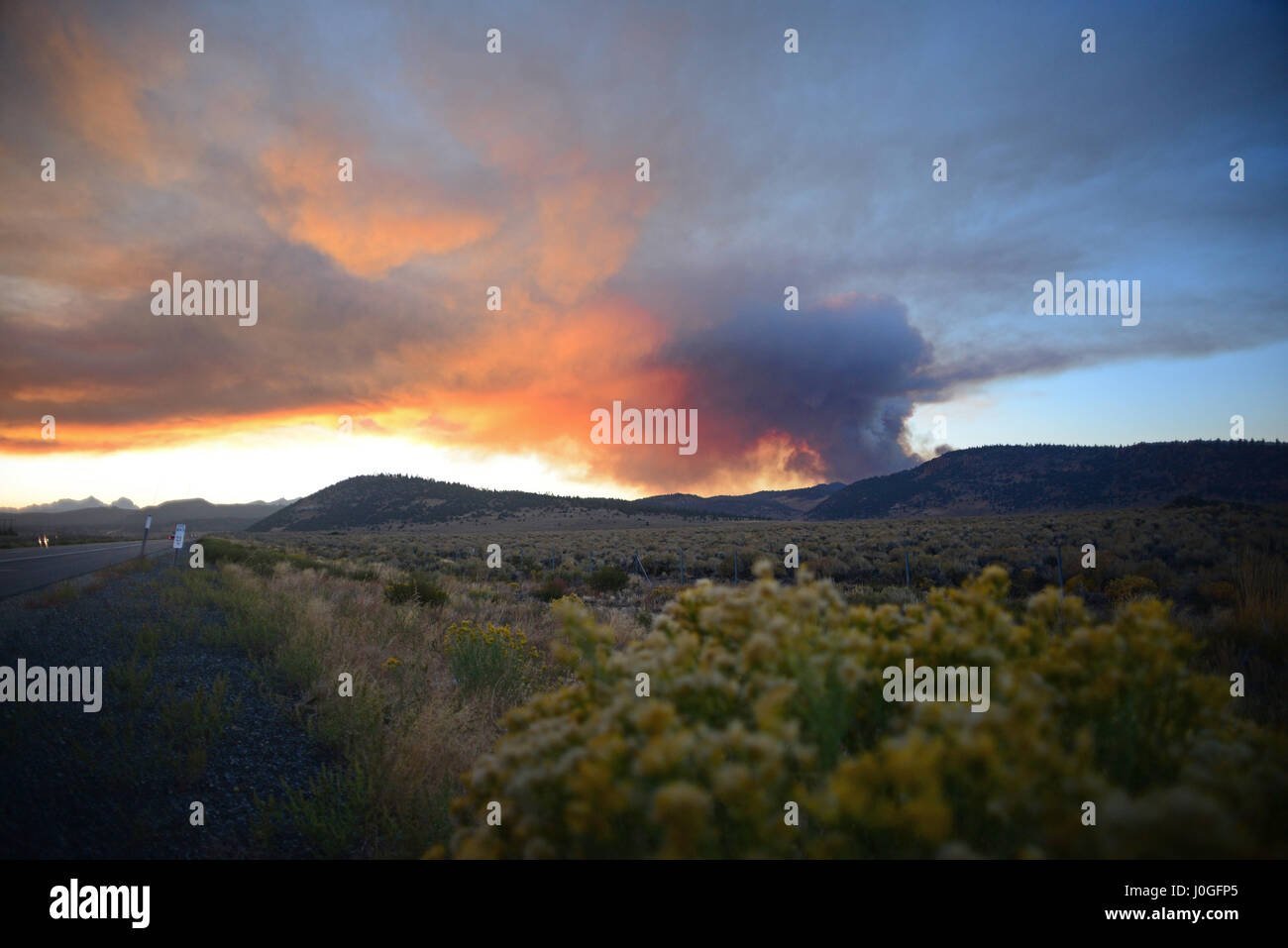 Wildfire nell'area di Yosemite in California, Stati Uniti Foto Stock