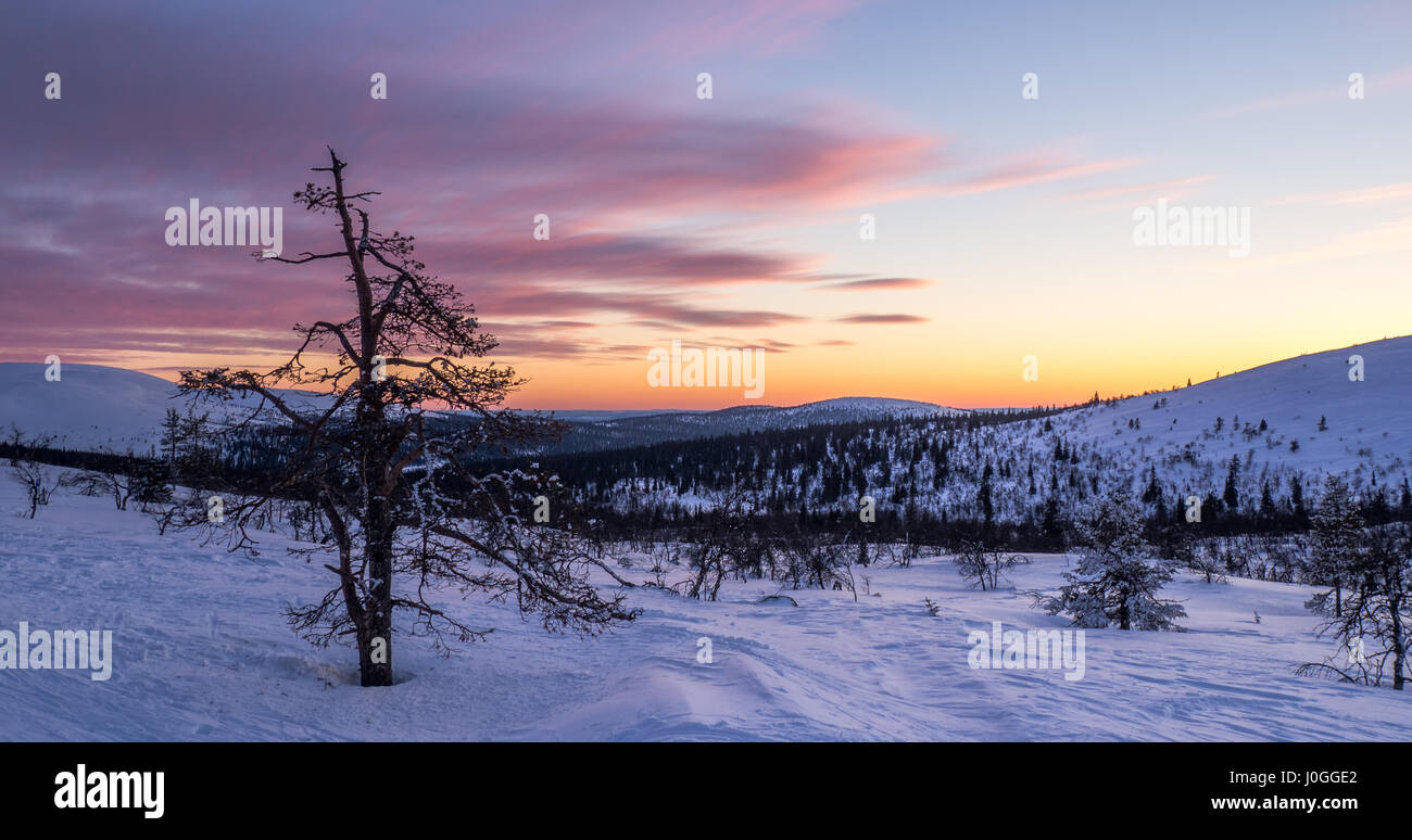 Parco nazionale di Hetta pallas Foto Stock