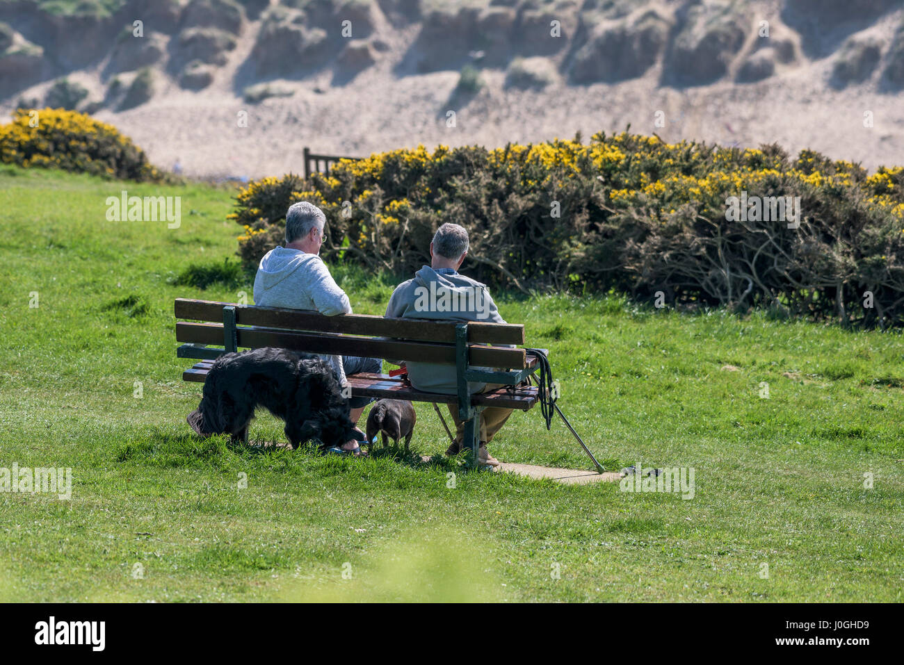 Coppia di persone sedute Bench Dogs Animali domestici riposanti rilassante Sunny Sunshine East Pentire Newquay Cornovaglia Foto Stock