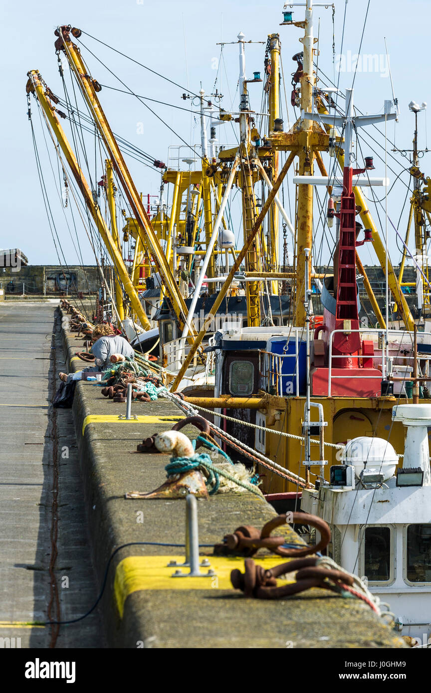 Newlyn porto da pesca barca da pesca di nave da pesca dei pescherecci da traino con buttafuori Outrigger bracci cavi Rigging cime della flotta di pesca Porto Porto legato Foto Stock