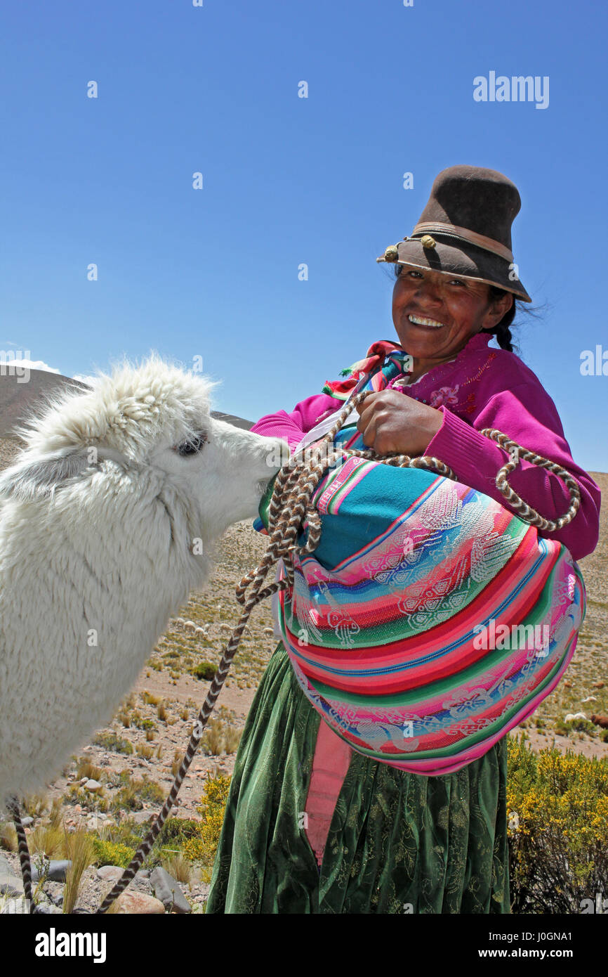 Donna Peruviana con Gli Alpaca Foto Stock