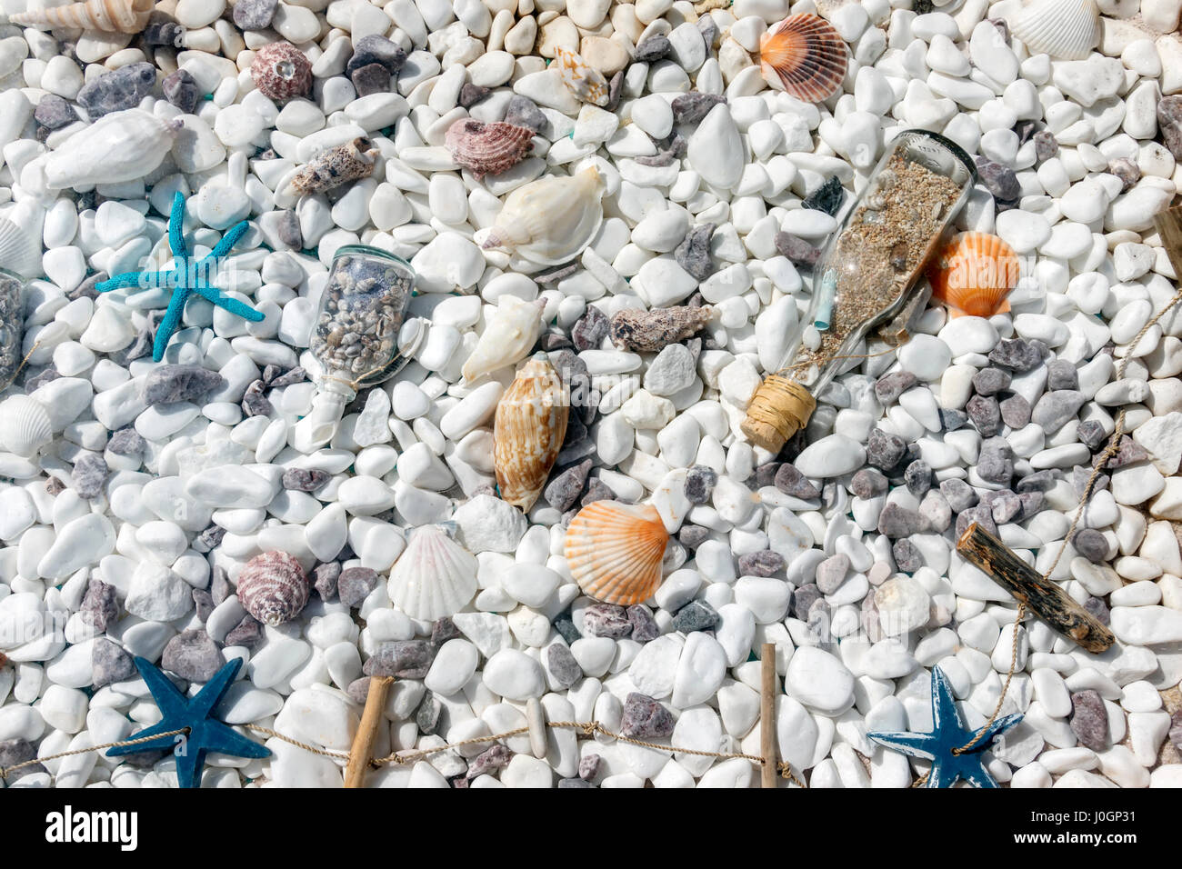 Close-up coperto di texture con colorate conchiglie e starfishes su bianco piccoli ciottoli sfondo Foto Stock
