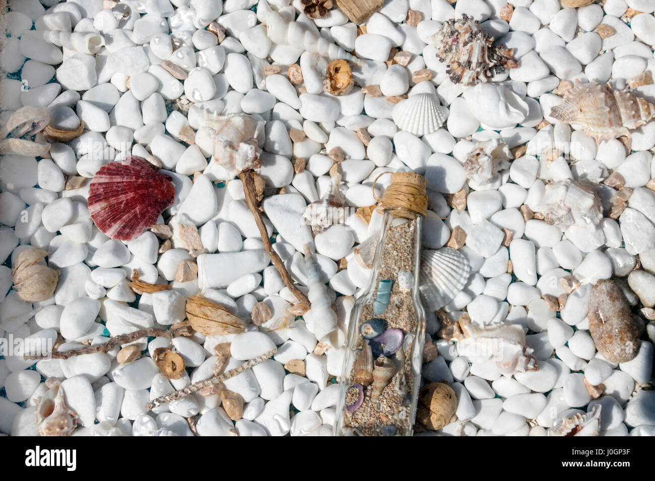 Close-up coperto di texture con colorate conchiglie e starfishes su bianco piccoli ciottoli sfondo Foto Stock