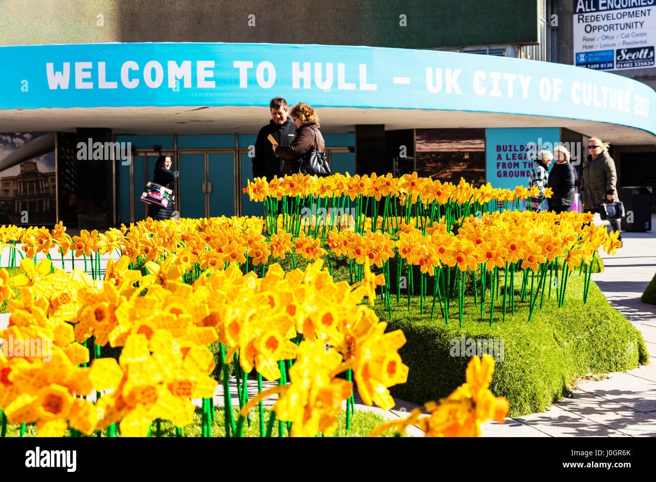 Lego Giunchiglie in Hull City center 1700 lego daffodil fiori Hull City della cultura di Kingston Upon Hull REGNO UNITO Inghilterra Yellow Daffodils King Edward Square Foto Stock