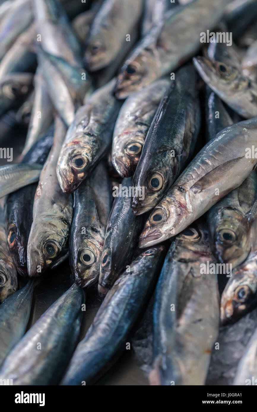 Pesce fresco per la vendita nel mercato del pesce, di Madera Foto Stock