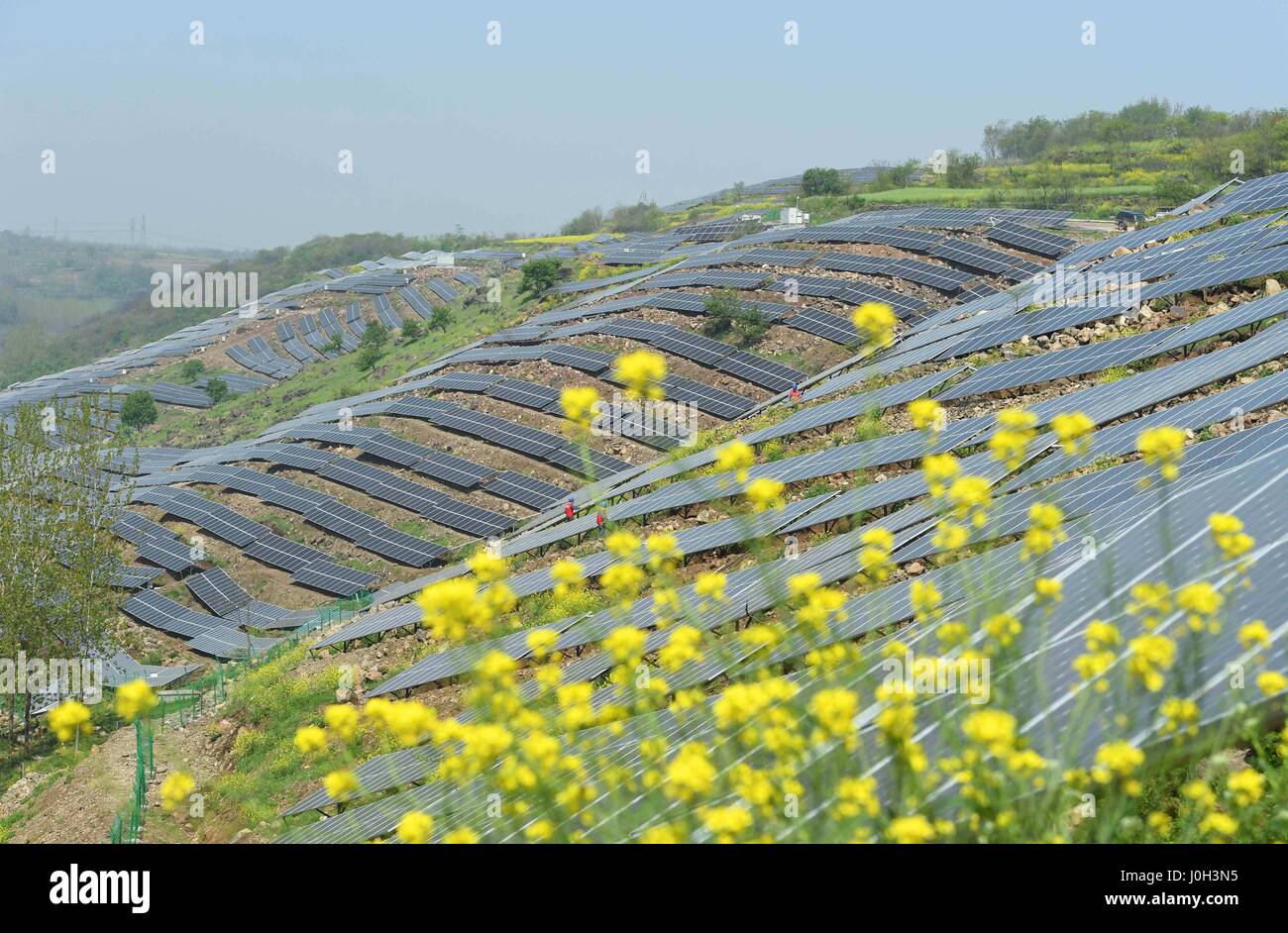 Chuzhou, Chuzhou, Cina. Xiii Apr, 2017. Chuzhou, CINA-Aprile 13 2017: (solo uso editoriale. Cina OUT) al fotovoltaico sistema di generazione di potenza è costruito su una collina sterile in Chuzhou, est cinese della provincia di Anhui, Aprile 13th, 2017. Fotovoltaico (PV) è un termine che copre la conversione della luce in energia elettrica utilizzando materiali semiconduttori che presentano l'effetto fotovoltaico, un fenomeno studiato in fisica, di fotochimica e elettrochimica. Credito: SIPA Asia/ZUMA filo/Alamy Live News Foto Stock
