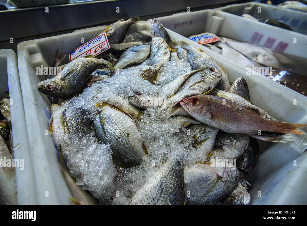 Aprile 13, 2017 - SÃ¢O Paulo, SÃ£o paulo, Brasile - intensa circolazione dei consumatori in cerca di pesce nel mercato del pesce in SÃ£o Paulo (SP), la mattina del giovedì (13), la vigilia del Venerdì Santo vacanza. Credito: Cris Faga/ZUMA filo/Alamy Live News Foto Stock