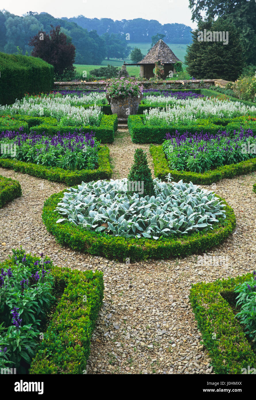 Siepi di bosso in knot garden con la piantagione di salvia Foto Stock