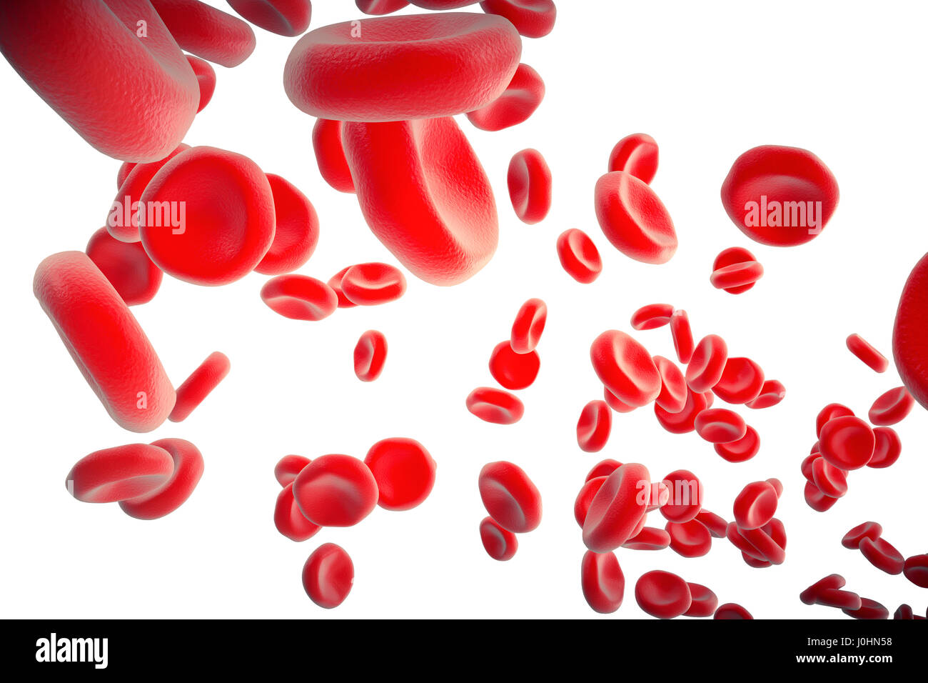Le cellule rosse del sangue nell'arteria, il flusso all'interno del corpo, concetto umano medico health care, rendering 3d isolati su sfondo bianco Foto Stock