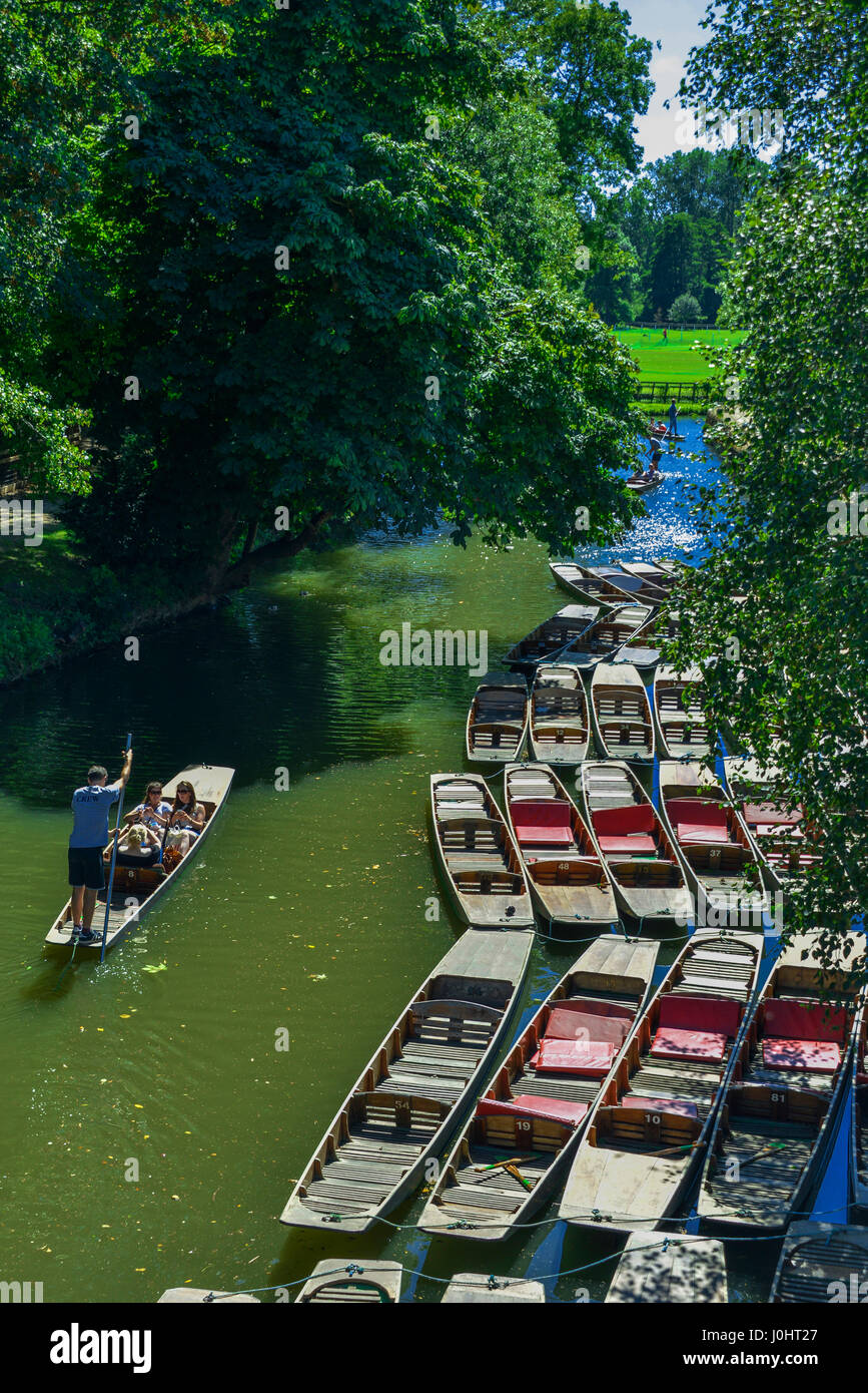 Punting sul fiume Cherwell vista dal Ponte della Maddalena a Oxford, UK. Foto Stock