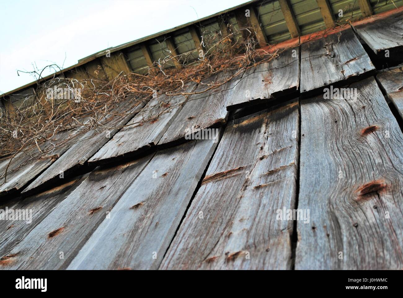 Muro del granaio di tetto, vista da terra Foto Stock