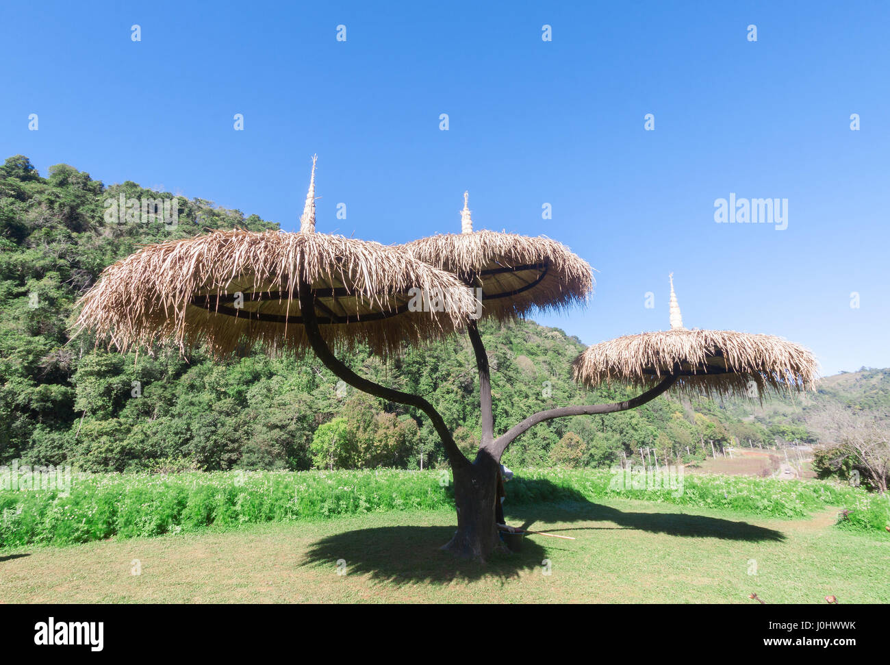 Ombrello in legno a Doi Ang Khang, Chiang Mai, Thailandia Foto Stock